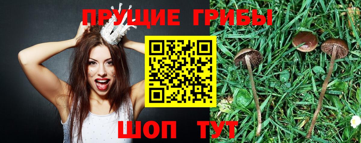 Галлюциногенные грибы GOLDEN TEACHER  Галлюциногенные грибы MAGIC MUSHROOMS  Донецк  Вход с VPN 